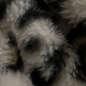 Meet your Posher, Ashketchum